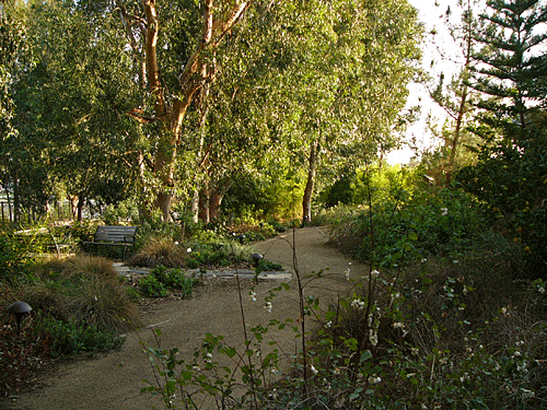 Woodland Garden path going South